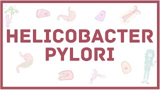 Helicobacter pylori  хеликобактер  симптомы диагностика лечение микробиология [upl. by Nathaniel]