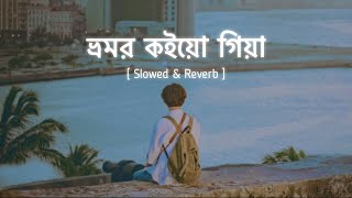 ভ্রমর কইয়ো গিয়া  Slowed amp Reverb  Bhromor Lofi  Surojit  Radharaman Dutta  Zihans Lofi [upl. by Beau]