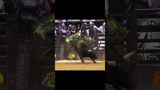 🇧🇷 Cassio Dias 🆚 Washita Red for 8825 points shorts cowboys agro rodeo viralvideo [upl. by Concha67]