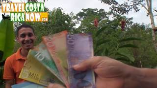 Exchanging Money in Costa Rica Currency Dollars to Colones [upl. by Pilif436]