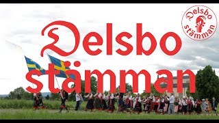 DELSBOSTÄMMAN 2015  Officiella filmen från Delsbo Forngård [upl. by Haeli451]