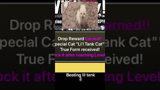 Cat tank lil [upl. by Egas]