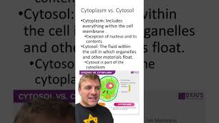 Cytoplasm Vs Cytosol [upl. by Ttik]