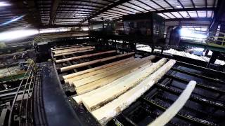 Collums Lumber Products LLC  Sawmill Tour [upl. by Ines331]