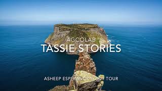 Tassie Stories Study Tour [upl. by Azaleah]