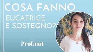 Capire differenze e opportunità tra educatrice e insegnante di sostegno per studenti e insegnanti [upl. by Niawtna]