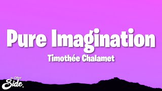 Timothée Chalamet  Pure Imagination Lyrics from Wonka [upl. by Shirlee]