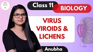 Class 11  Virus Viroids amp Lichens  NCERT [upl. by Ertnod]