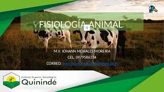 FISIOLOGÍA ANIMAL [upl. by Hun]