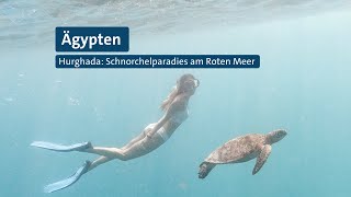 Hurghada  Schnorchelparadies am Roten Meer [upl. by Oakie]