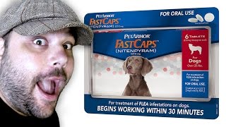 PetArmor FastCaps  Best Flea Pills for Dogs Review [upl. by Bautram]