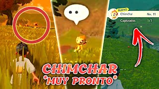 CÓMO CAPTURAR A CHIMCHAR MUY PRONTO EN LEYENDAS POKÉMON ARCEUS [upl. by Surbeck]