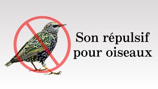 Son répulsif pour oiseaux  pigeons corbeaux étourneaux etc Non compatible avec iPhone [upl. by Serilda]