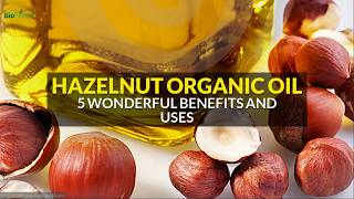 5 Wonderful Benefits and Uses of Hazelnut Organic Oil [upl. by Damick318]