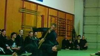 Kashiwa Bujinkan Ninjutsu Training showreel [upl. by O'Donnell422]