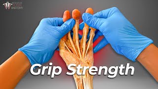 Does Grip Strength Really Help You Live Longer [upl. by Alysoun814]