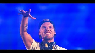 Avicii  The Nights Sub Español  Lyrics [upl. by Ligriv494]