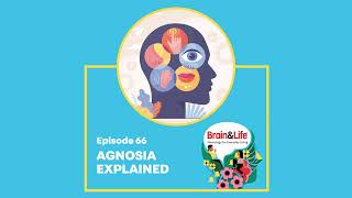 What is Agnosia and How Does it Affect the Brain’s Perception Brain amp Life Podcast [upl. by Llennhoj636]