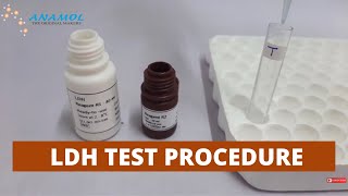 Lactate Dehydrogenase Test  LDH Test Procedure [upl. by Norvil267]