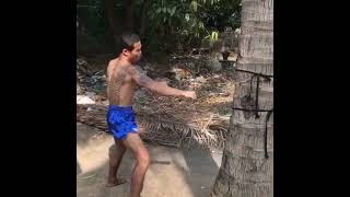 Muay Thai Shin Conditioning with Palm Tree 😮 [upl. by Anaihs]