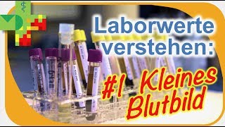 Laborwerte verstehen 1 Kleines Blutbild [upl. by Lexa720]