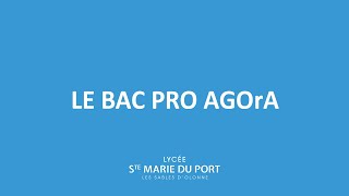 Le Bac pro AGOrA [upl. by Dinny]