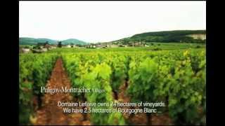 Domaine Leflaive A Path to Follow [upl. by Leod]