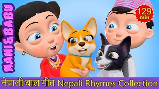 Punte Tinku  I Have A Pet  Nepali Rhymes Collection  लोक प्रिय नेपाली बाल गीत [upl. by Antin113]