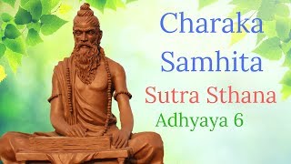 Charaka Samhita Sutra Sthana Adhyaya 6 [upl. by Mahla925]