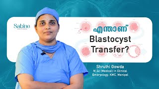 What is Blastocyst Transfer   Embryo Transfer  Sabine Hospital [upl. by Eesdnyl636]