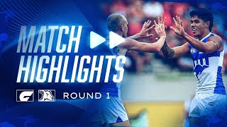 AFL R1 match highlights GWS v North Melbourne [upl. by Bernadina104]