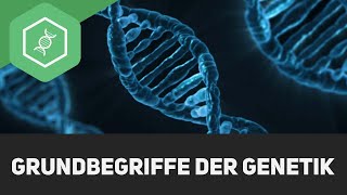 Grundbegriffe der Genetik [upl. by Sivrahc]