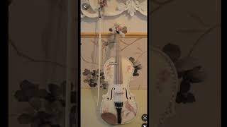 Violinist string instrument player understand fypシ゚viral musiclyrics violin songlyrics viralvd [upl. by Dranrev]