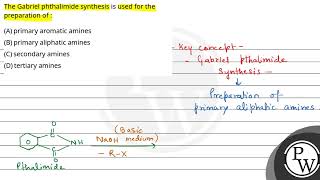 The Gabriel phthalimide synthesis is used for the preparation of [upl. by Atival]