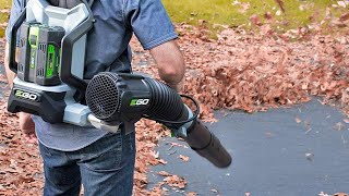 The Best Backpack Leaf Blowers of 2024 [upl. by Cly]