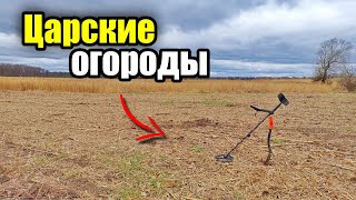 Долгожданные огороды Коп с MD Nokta Makro Simplex plus [upl. by Chadabe]