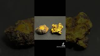 Gold specimens from the weekend Photos taken with a macro lens gold [upl. by Ursulette]