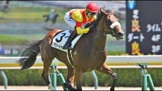 2歳新馬 芝1800m 左 外 エリカリーシャン 牝2 550 三浦 2023826 出走馬：ペッレグリーニ、マジマックサラン、リーチユアドリーム、ロードヴェスパー、ニシノジーク他 [upl. by Zalucki407]