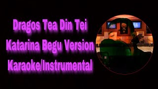 Dragostea Din Tei Katerina Begu Karaoke Intrumental garageband cover [upl. by Shriner728]