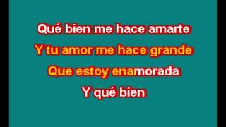 THALIA ESTOY ENAMORADO KARAOKE [upl. by Schwing681]