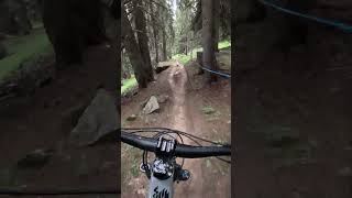 Ruppiger und schneller Single Trail  Into the Wild Bellwald🤘enduromtb mtb mtblife short [upl. by Bush]