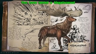 ARK Survival Evolved Taming Megaloceros  Moose Tame [upl. by Dorraj451]