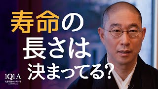 若くして亡くなった人は、天寿を全うしたと言えるのか？ [upl. by Ahsinid]