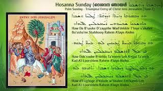 Oliveenthal Thalakaleduthu Oshana Syriac  Palm Sunday  ഒലിവീന്തൽ സുറിയാനി  Jevin  Basil [upl. by Gianni]