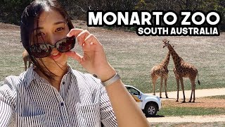 MONARTO ZOO SA  Vlog No 1 [upl. by Nadabb]