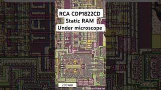 RCA CDP1822CD ram memory microchip microscope [upl. by Gula694]