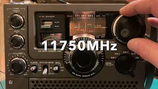 SONY ICF5900 late model FMMWSW radio receiver DX amp Sensitivity measurement [upl. by Ahsinom]