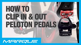 How To Clip In amp Out Your Peloton Bike Pedals  Tips And Tricks For Peloton Riders [upl. by Bergess]