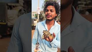 मेंढकको 🐸 Market घूमाने जाना  frog funn NasimAlamK0 [upl. by Lledualc]