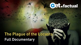 Locusts a Trail of Destruction  Full Documentary [upl. by Motteo]